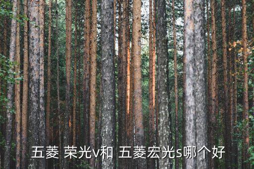  五菱 荣光v和 五菱宏光s哪个好