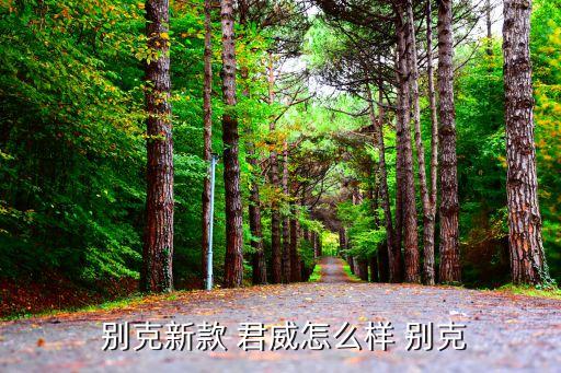 09款别克君威2.0T内饰,全球首款无人驾驶轿车上海车展示