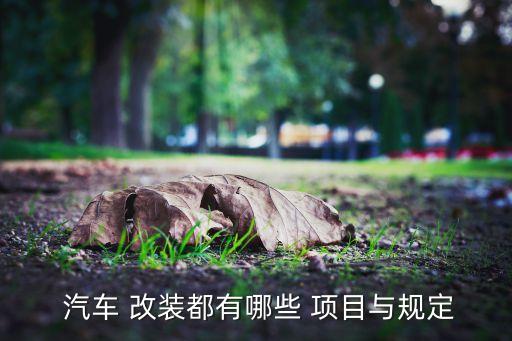 汽车 改装都有哪些 项目与规定