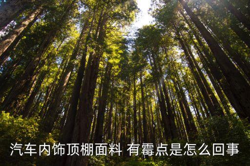 汽车内饰顶棚面料 有霉点是怎么回事