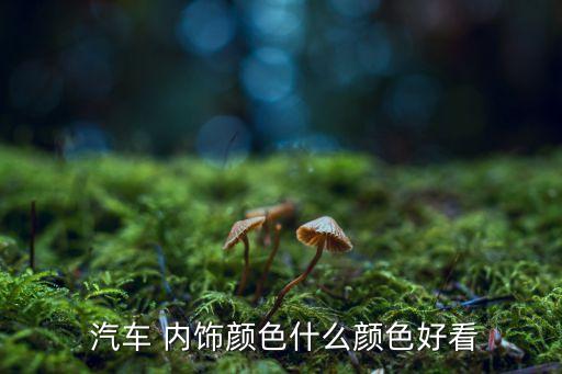 汽车内饰都有什么颜色的,内饰颜色:浅黄色为大多数人首选