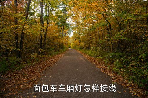  面包车车厢灯怎样接线