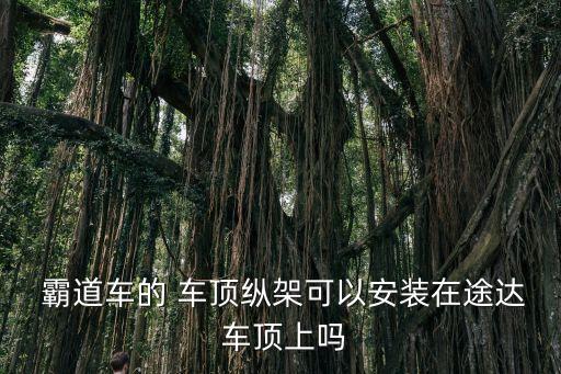  霸道车的 车顶纵架可以安装在途达 车顶上吗