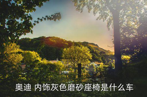  奥迪 内饰灰色磨砂座椅是什么车