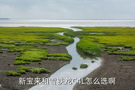新宝来和雪铁龙C4L怎么选啊