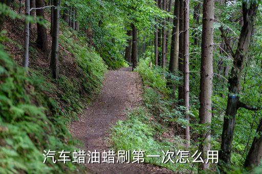 汽车蜡油蜡刷第一次怎么用