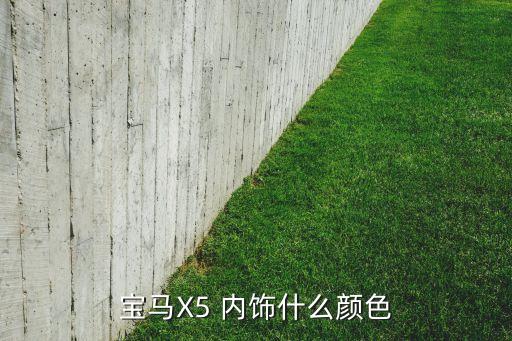 中东版x5内饰改装图片,国产宝马x5内饰曝光中东版更豪华