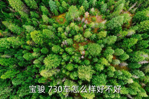  宝骏 730车怎么样好不好