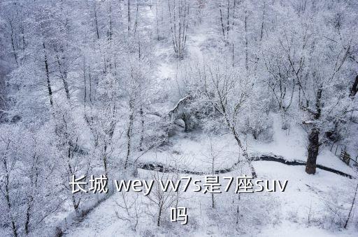 长城 wey vv7s是7座suv吗
