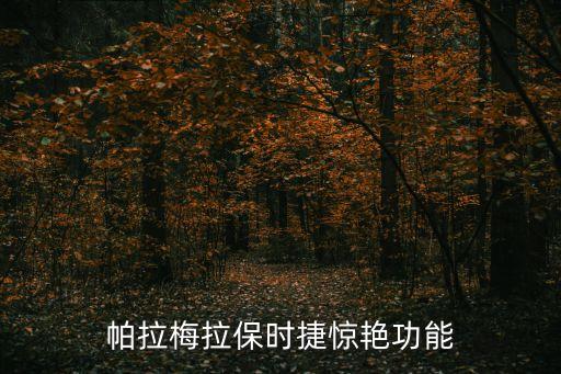 怕拉梅拉内饰,保时捷cra梅拉内饰采用全新设计