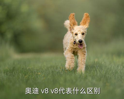 奥迪v8内饰,原来是这样