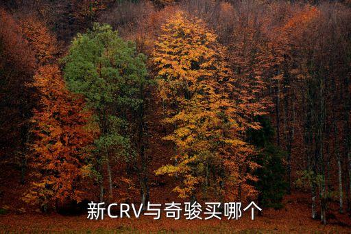 新CRV与奇骏买哪个