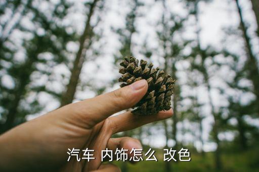 汽车 内饰怎么 改色