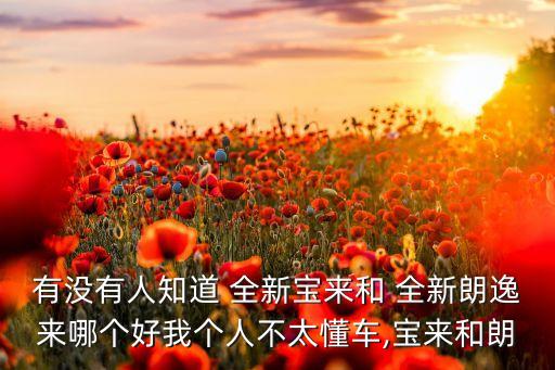 有没有人知道 全新宝来和 全新朗逸来哪个好我个人不太懂车,宝来和朗