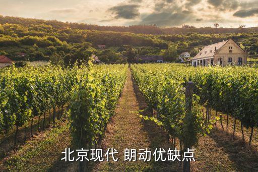 现代朗动红色内饰,北京现代朗动优缺点全球销量高配套齐全