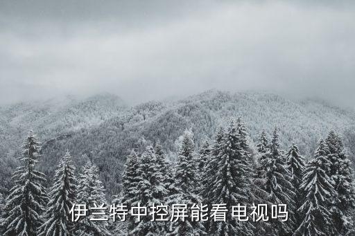  伊兰特中控屏能看电视吗
