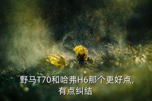  野马T70和哈弗H6那个更好点,有点纠结