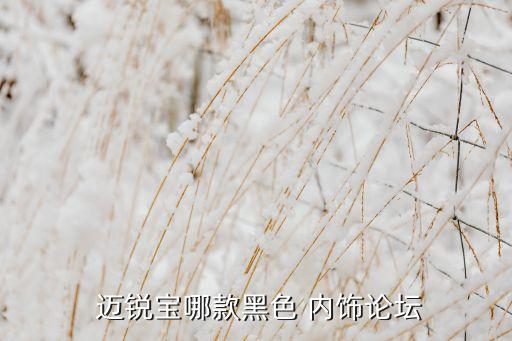 迈锐宝改棕色内饰,可更换内饰雪佛兰迈锐宝颜色没对手