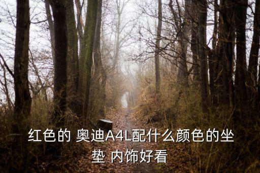  红色的 奥迪A4L配什么颜色的坐垫 内饰好看