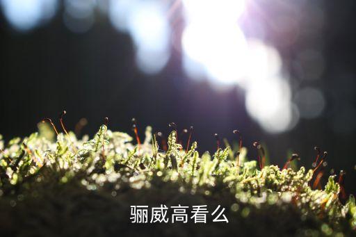  骊威高看么