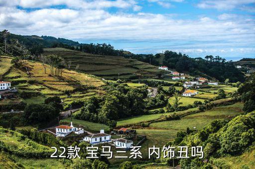 22款 宝马三系 内饰丑吗