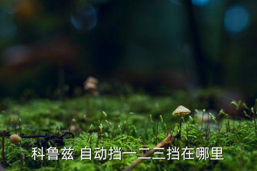 科鲁兹 自动挡一二三挡在哪里