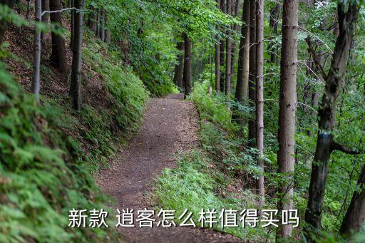  新款 逍客怎么样值得买吗
