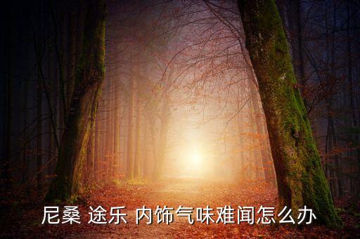 尼桑 途乐 内饰气味难闻怎么办