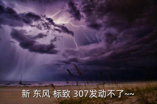 新 东风 标致 307发动不了~~