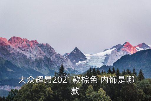 大众什么车是橘色内饰,大众辉昂2021内饰出现米色版