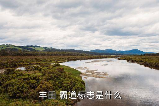  丰田 霸道标志是什么