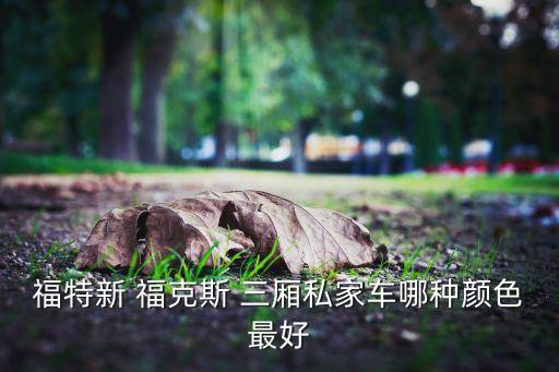 福特新 福克斯 三厢私家车哪种颜色最好