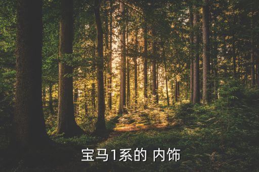 宝马内饰提倡简单,本地车主疑似买错车型号召车商回国