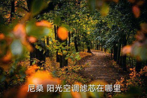  尼桑 阳光空调滤芯在哪里