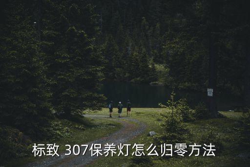 2014款标志307内饰图片,中国3没有obd第二批为国4