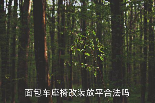 车改内饰违法吗,汽车改装座椅须先向车管所申请备案