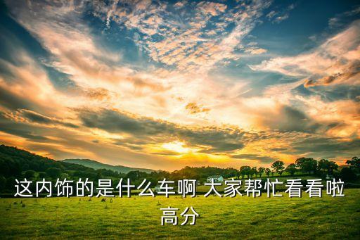 这内饰的是什么车啊 大家帮忙看看啦高分