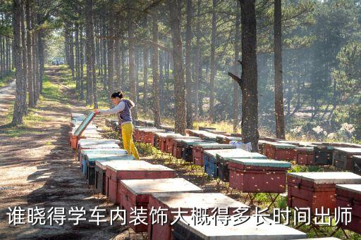 谁晓得学车内装饰大概得多长时间出师