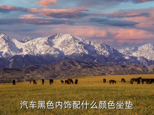 汽车黑色内饰配什么颜色坐垫