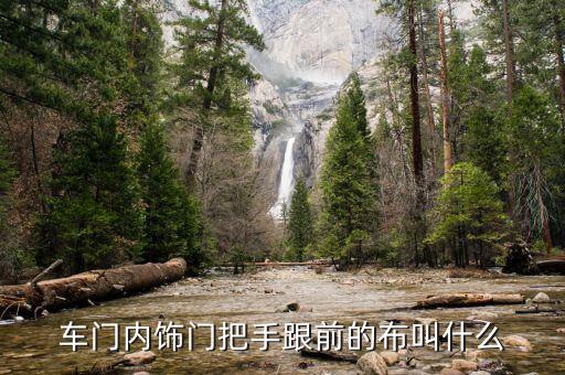 车门内饰门把手跟前的布叫什么