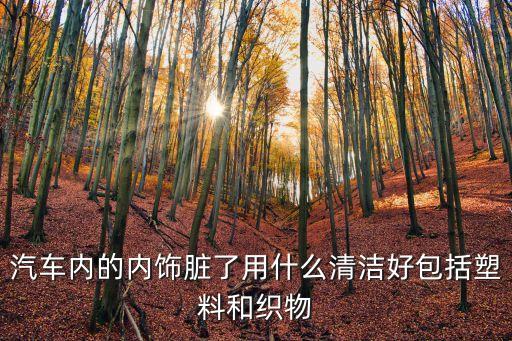 汽车用什么擦内饰干净又亮，汽车黑色内饰脏了发黄用什么洗可以亮一点