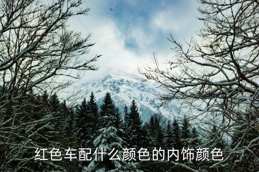 红色车配什么颜色的内饰颜色