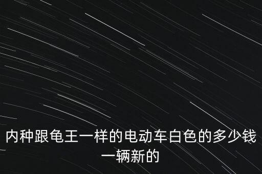 内种跟龟王一样的电动车白色的多少钱一辆新的