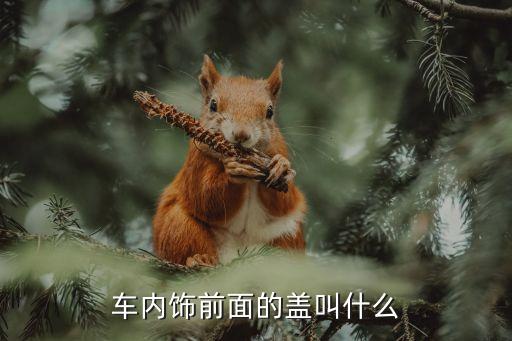 车内饰前面的盖叫什么