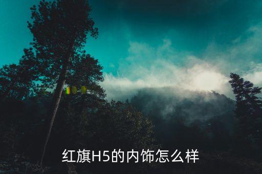 红旗H5的内饰怎么样