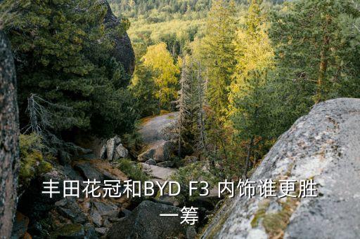 花冠汽车原装内饰是什么，丰田花冠内饰功能说明