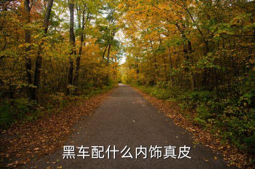 汽车黑内饰配什么颜色皮，a4l黑色内饰包什么颜色真皮坐椅