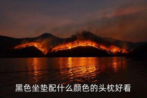 黑色坐垫配什么颜色的头枕好看