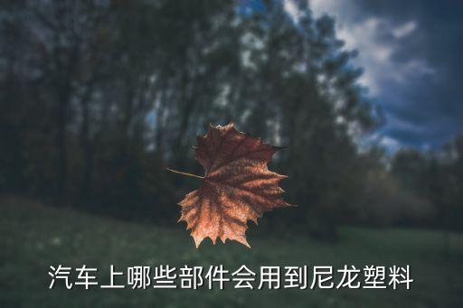 汽车上哪些部件会用到尼龙塑料