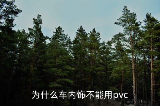汽车哪些内饰不能用塑料，为什么车内饰不能用pvc
